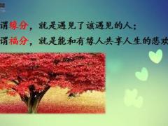 每日鸡汤缘分.rar