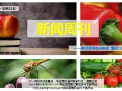 新闻周刊10月8至15日21页.ppt
