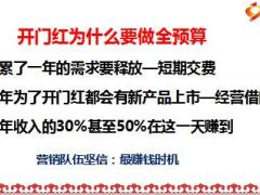 保险公司2017年全预算规划47页.ppt