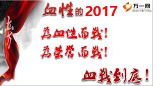 保险中支机构个险2017开门红规划42页.ppt