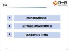 保险公司开门红规划个险视频会报告会33页.ppt