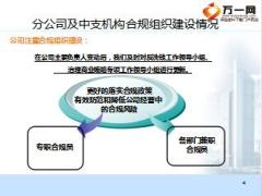 保险公司2016年合规工作总结及2017年规划18页.ppt