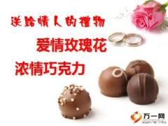 特别的爱给特别的你情人节活动专题外勤宣导案22页.ppt