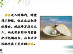 每日鸡汤看了此文我不再责怪任何人任何事了.rar