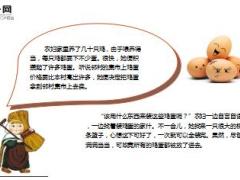 每日保险故事农妇卖鸡蛋8页.ppt