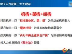 2017年保险公司人力发展规划26页.ppt