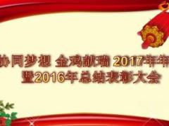 保险公司2017年年会暨2016年总结表彰大会流程片26页.ppt