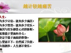 每日鸡汤能打开任何人心结的一段话.rar