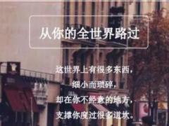诗歌保险从你的全世界路过18页.ppt