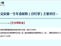 合众人寿安盈壹生产品介绍计划案例9页.ppt