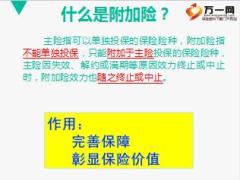 附加险的定义种类产品组合示范国寿版21页.ppt