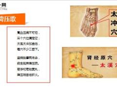 每日健康朗朗上口的穴位歌必须收藏14页.ppt