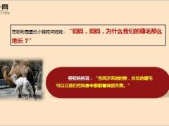 每日保险故事用途8页.ppt