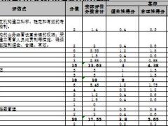 保险公司2017年内控评价情况表4页.xls