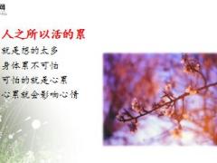每日鸡汤送给最近心烦心累心痛心情差的你.rar