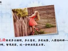 每日鸡汤献给脾气不好不会说话的人特別是我自己.rar