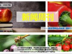 新闻周刊10月24至29日19页.ppt