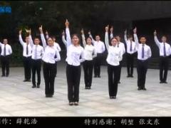 视频晨操林中鸟.rar