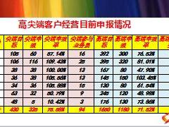 保险公司2017年开门红客户经营队伍技能准备工作汇报13页.ppt