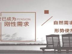 泰康尊享岁月养老年金一款专属高净值人群的养老年金产品介绍34页.ppt