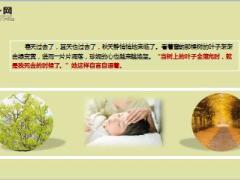 每日保险故事最后一片树叶10页.ppt