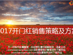 赢战2017开门红销售策略及方案国寿版23页.ppt