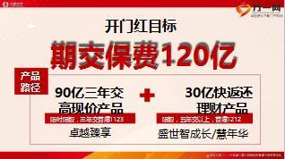 2017年保险公司开门红节奏与规划安排太平版38页.ppt