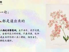每日鸡汤这些话当你扛不住的时候就读一遍.rar