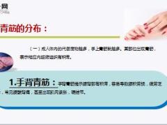 每日健康青筋凸起意味着什么百分之99的人都不知道17页 .ppt