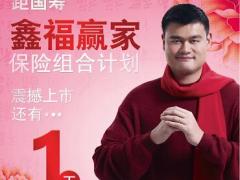 中国人寿鑫福赢家2017开门红产品海报.zip