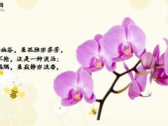 每日鸡汤最好的心境就是静心和沉稳.rar