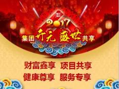 2017泰康集团开元盛世财富鑫享项目共享健康尊享三合一宣导48页.ppt
