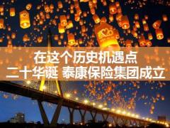 2017年泰康集团多元化投资渠道建设介绍28页.ppt