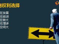关于保险公司员工跳槽的理性思考太平版110页.ppt
