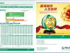 中国人寿2017鑫福赢家产品二折页.zip