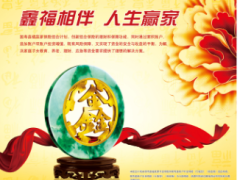 中国人寿2017鑫福赢家挂旗彩页.zip