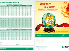 中国人寿2017鑫福赢家折页5年期.zip
