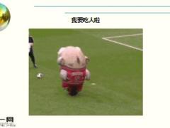 每日快乐早会16年11月08日使用15页.ppt