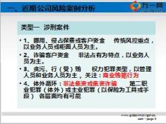 保险公司市县公司风险防控形势分析及风险管理提要29页.ppt