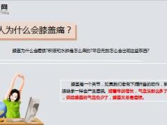 每日健康人的膝盖为什么会痛7页.ppt