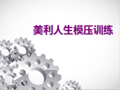 新华人寿美利人生模压训练34页.ppt