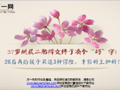 37岁姚晨二胎得女终于凑个好字精美12页.ppt