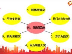 2017年开门红传奇2017鑫福方案宣导国寿19页.ppt
