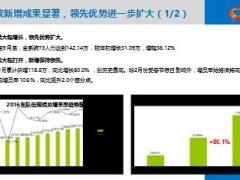 2017年保险公司队伍发展基本情况及重点工作52页.ppt