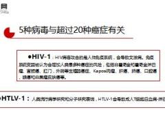 致癌物又增加7种癌情汹涌6大理由不能拒绝防癌险12页.ppt