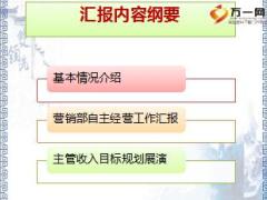 保险公司营销部自主经营工作汇报材料20页.ppt