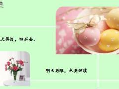 每日鸡汤不抱怨不言苦不忧伤不认输.rar