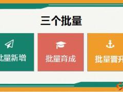 组织发展职场一体化系统生态建设介绍35页.ppt