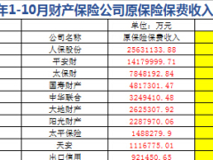 2016年前10月财产保险公司原保险保费收入情况表.xls