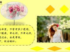 每日鸡汤人生不过四季春夏秋冬.rar
